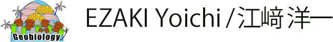 EZAKI Yoichi / 江﨑 洋一